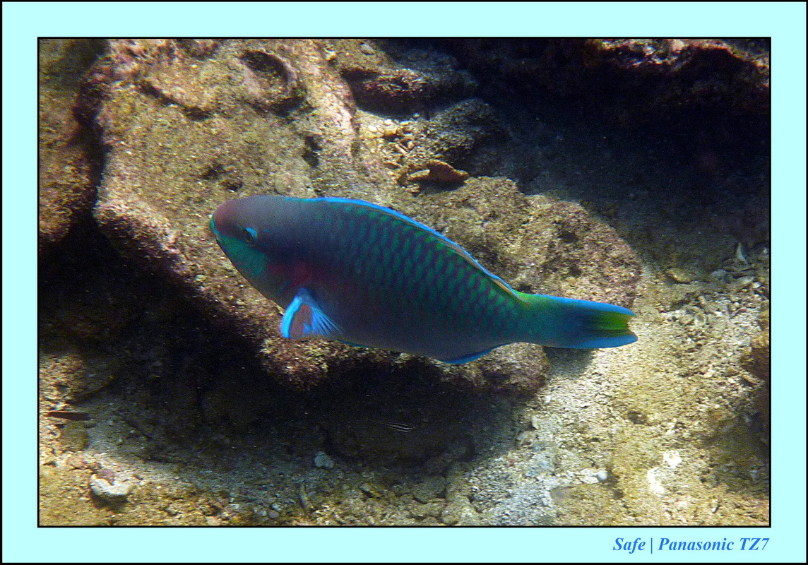 2013 - 01 - Koh Kai 05